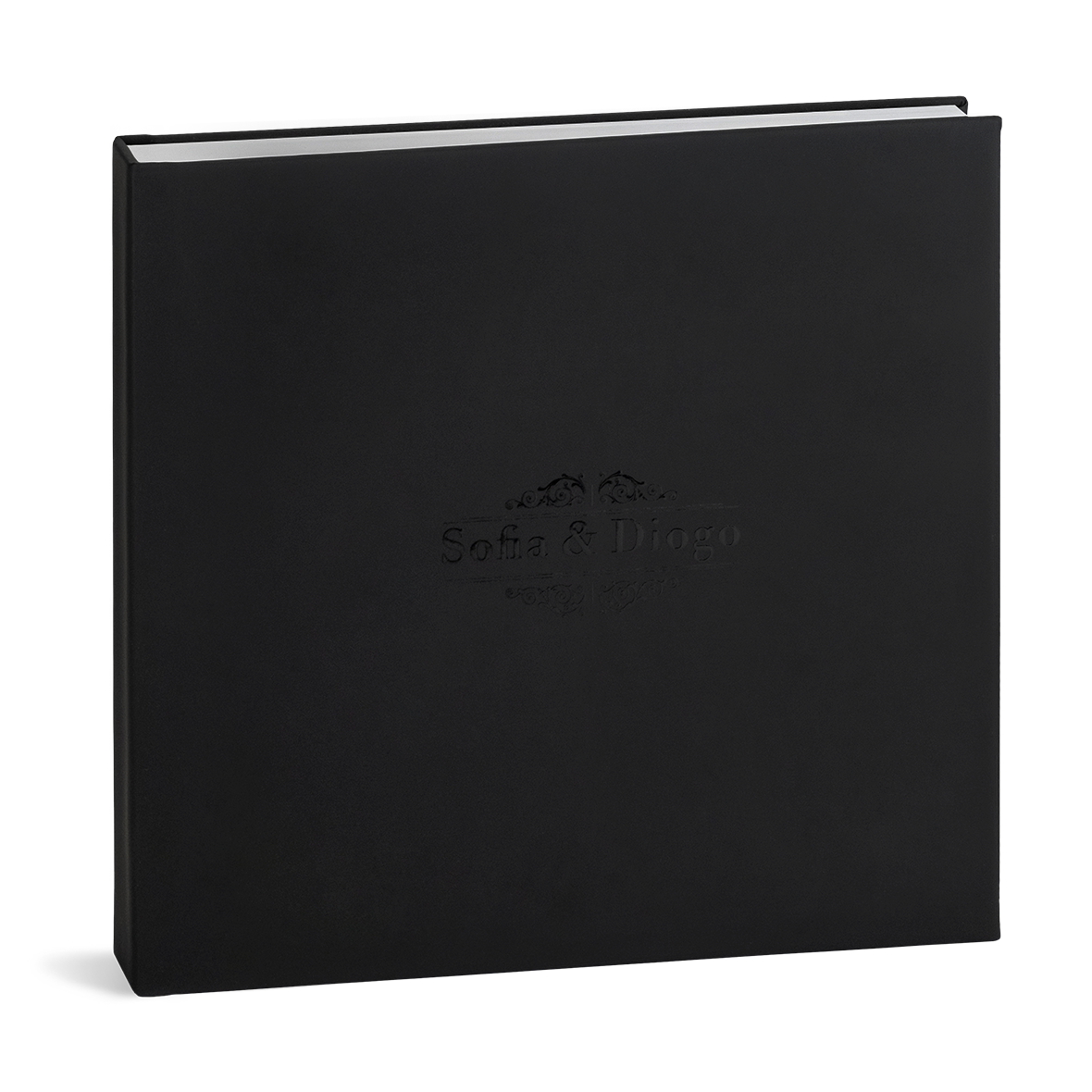 Evolution Collection models Egeu