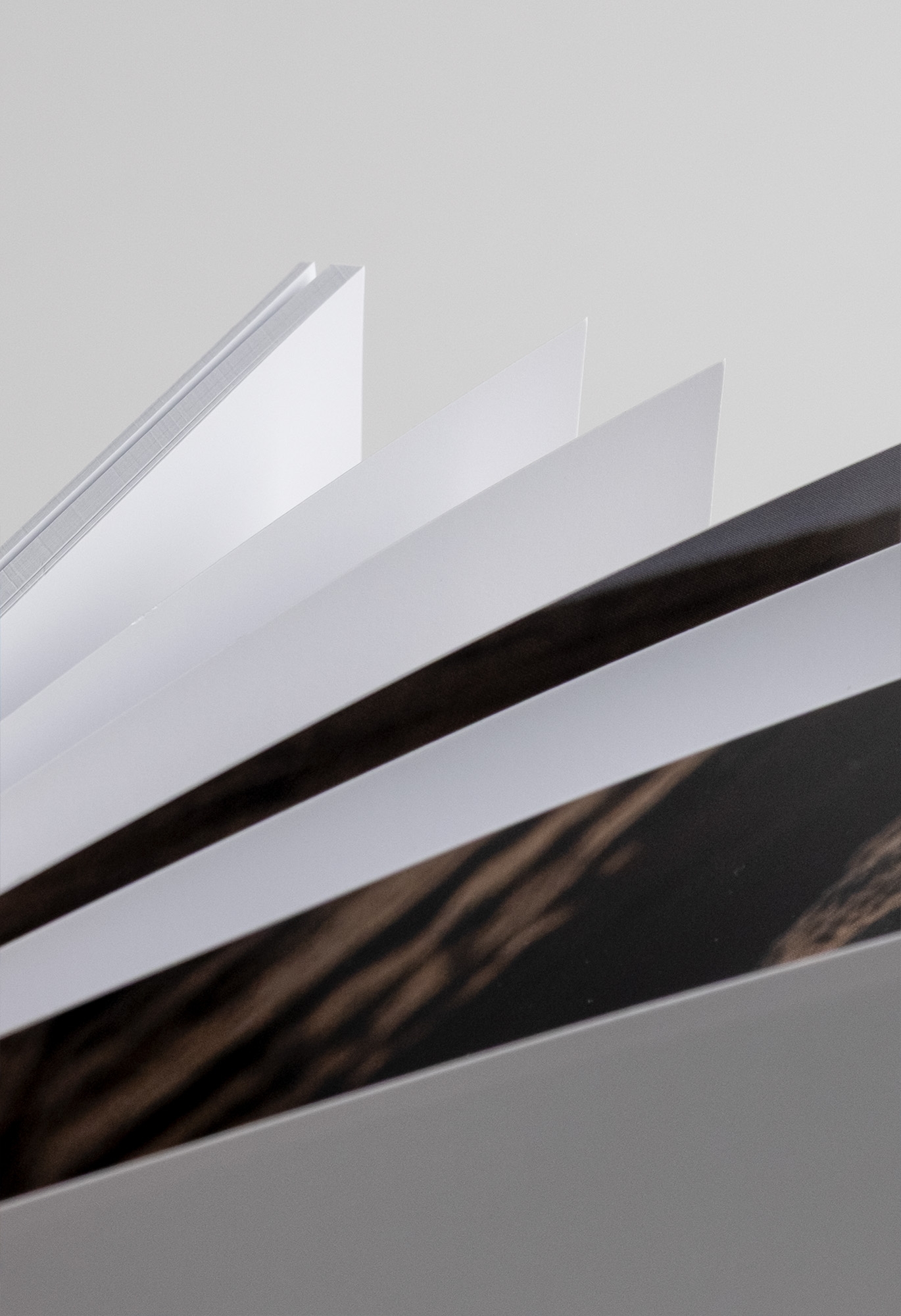 Magazine Collection - Family Construction details 5